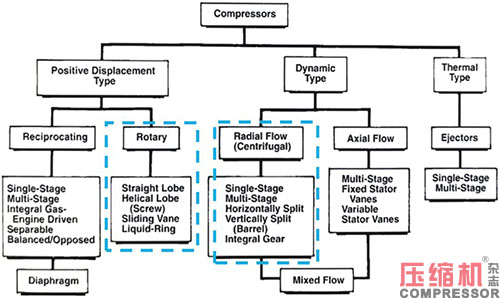 20250807854177.jpg 02.JPG